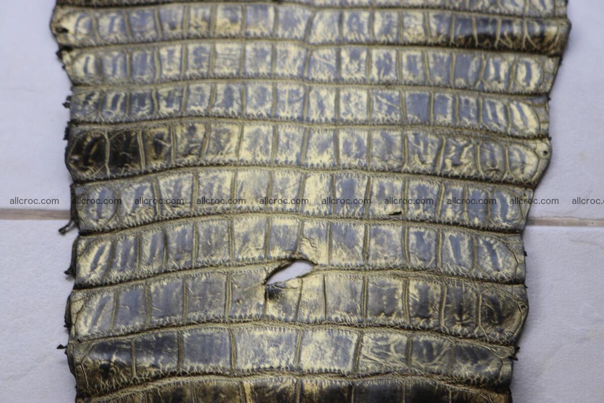 Crocodile skin belly part gold color brush off effect 1253 Foto 6