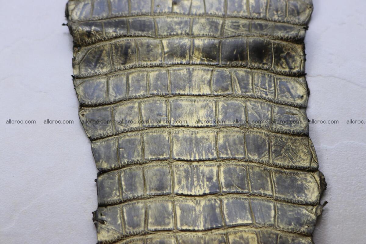 Crocodile skin belly part gold color brush off effect 1253 Foto 8