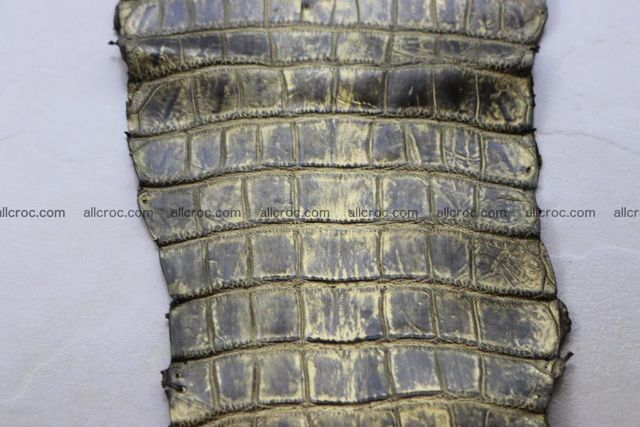Crocodile skin belly part gold color brush off effect 1253