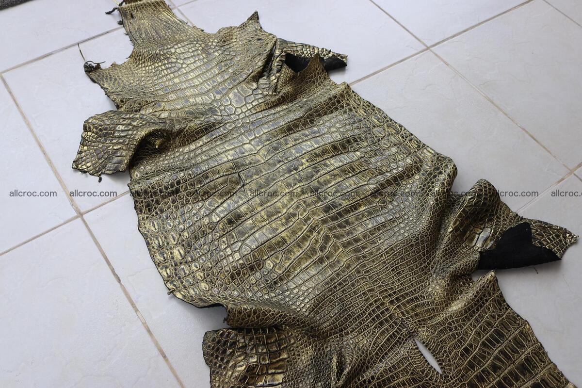 Crocodile skin belly part gold color brush off effect 1253 Foto 24