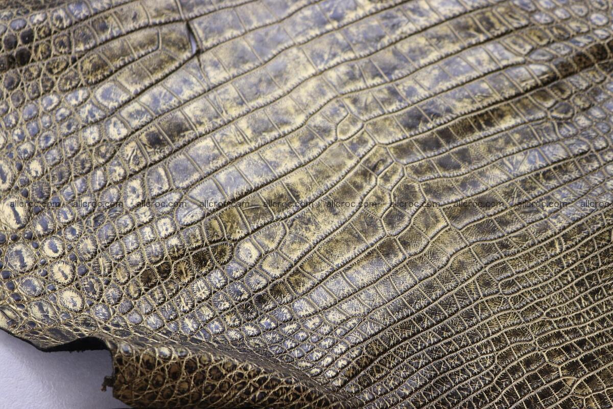 Crocodile skin belly part gold color brush off effect 1253 Foto 21
