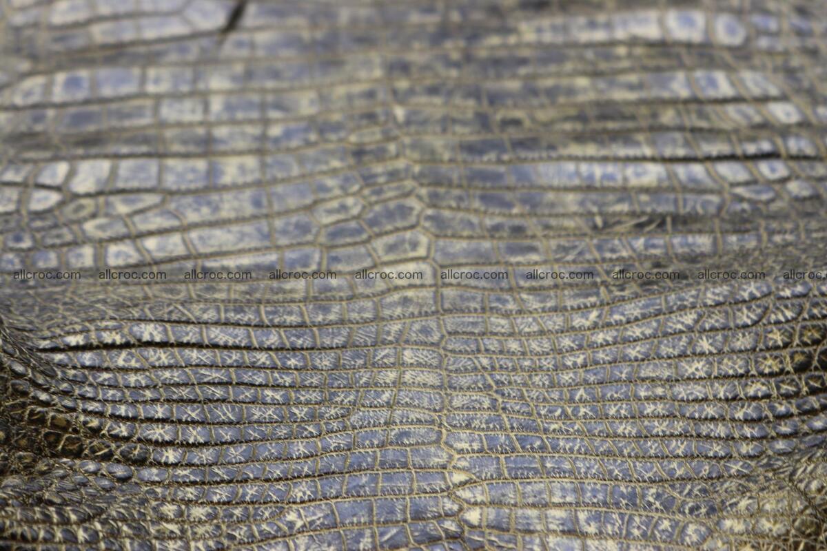 Crocodile skin belly part gold color brush off effect 1253 Foto 20