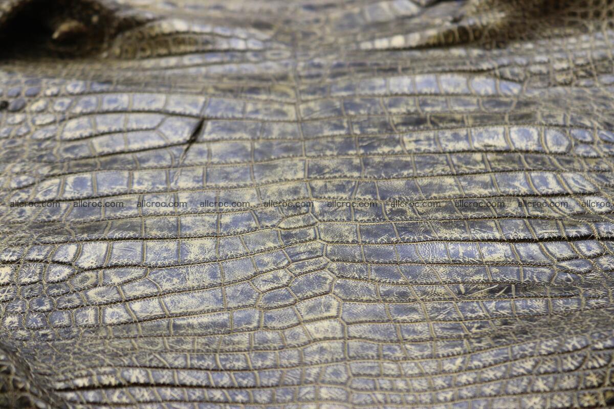 Crocodile skin belly part gold color brush off effect 1253 Foto 10