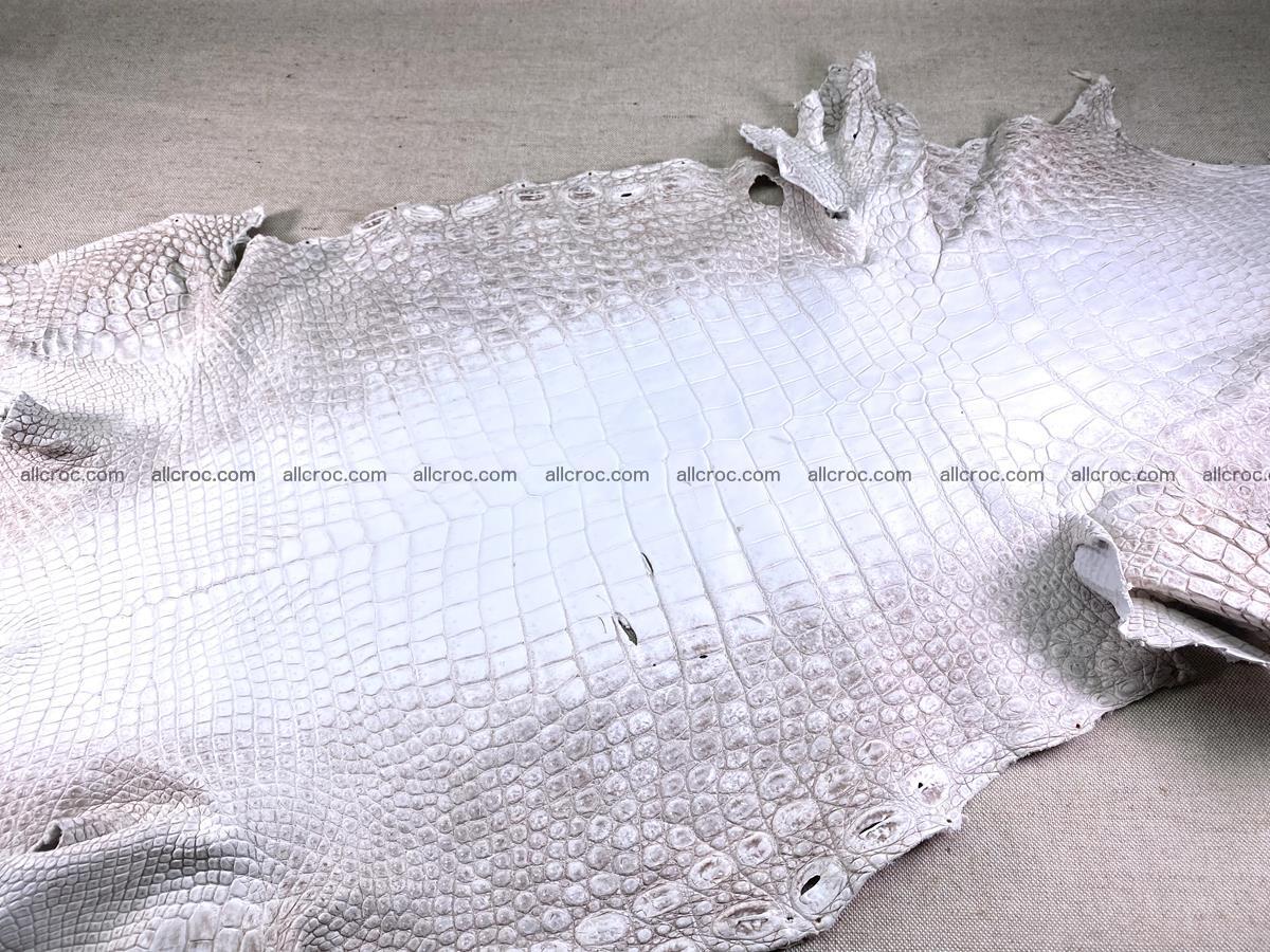 Crocodile skin belly part 49cm himalayan color 1475 Foto 9