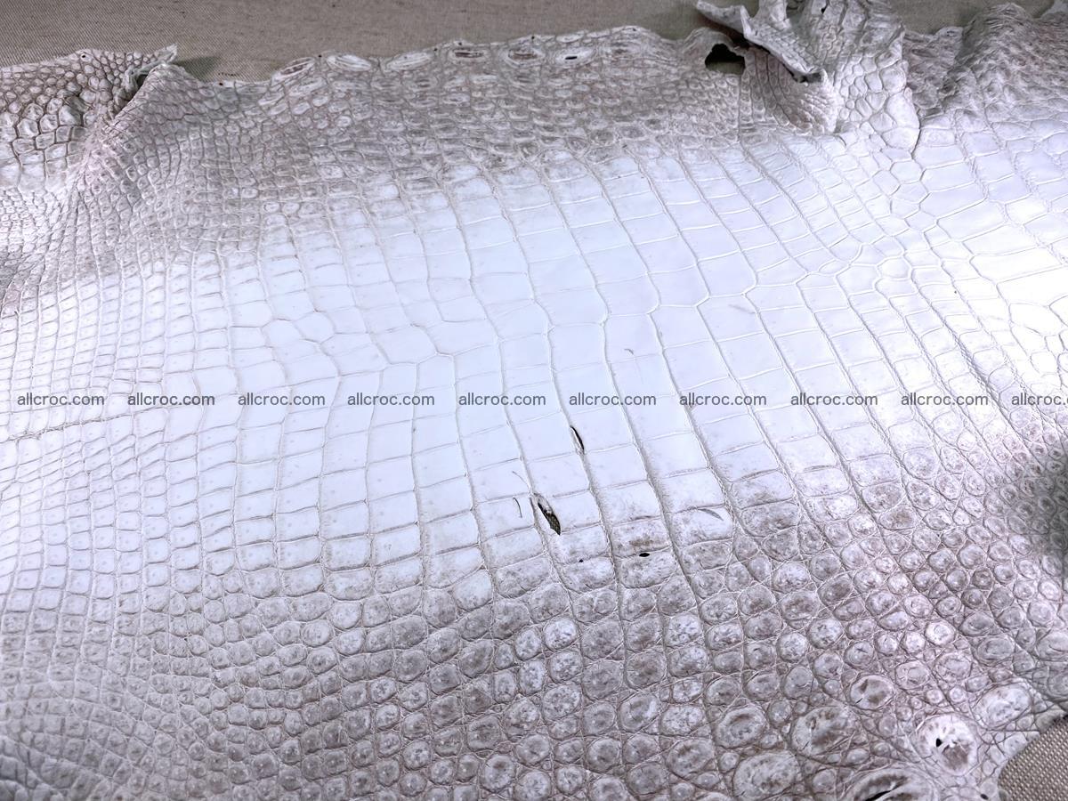 Crocodile skin belly part 49cm himalayan color 1475 Foto 5