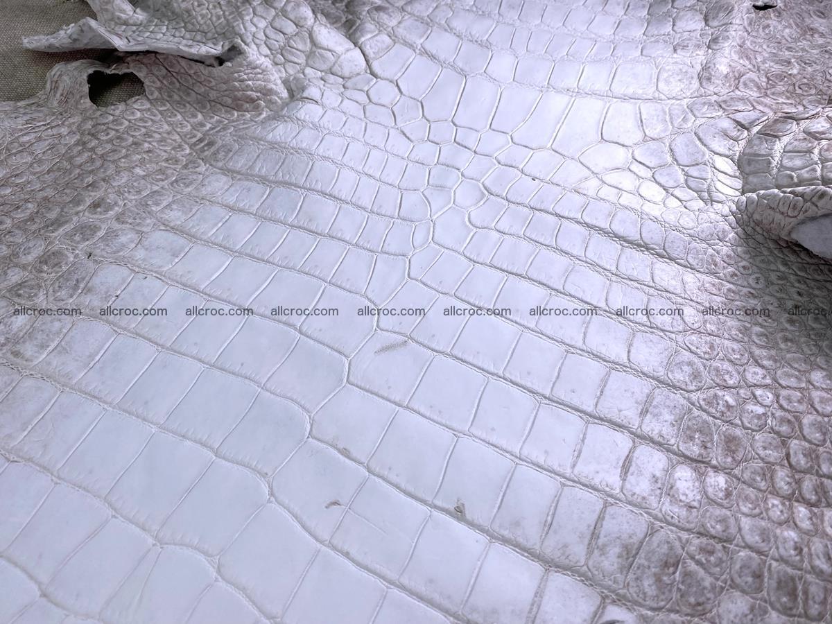Crocodile skin belly part 49cm himalayan color 1475 Foto 2