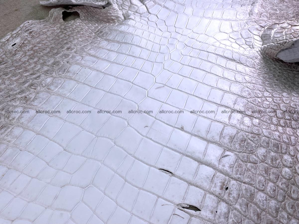 Crocodile skin belly part 49cm himalayan color 1475 Foto 8