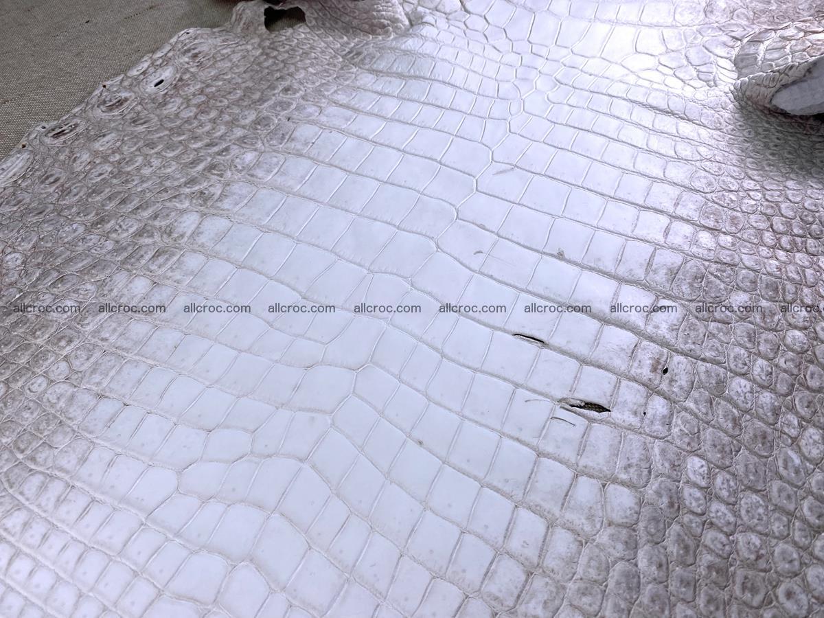 Crocodile skin belly part 49cm himalayan color 1475 Foto 6