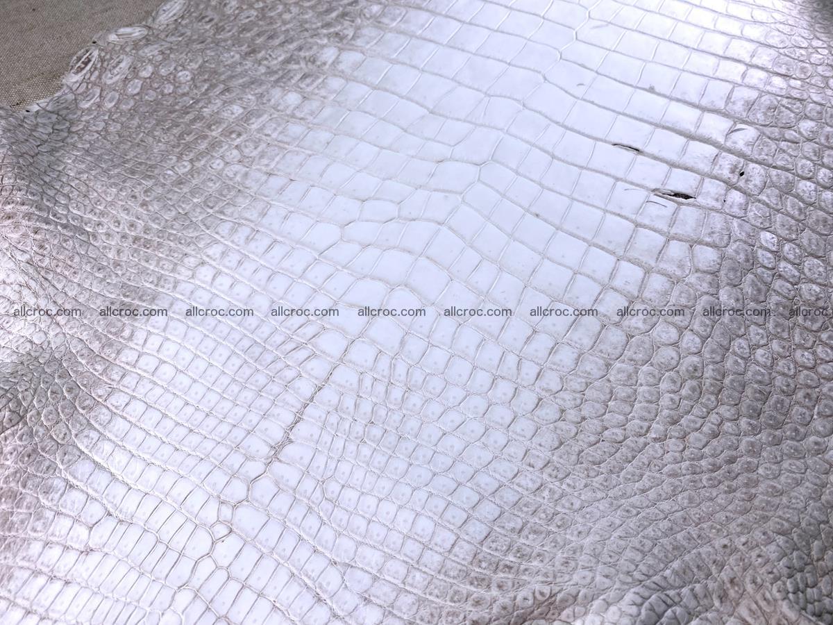 Crocodile skin belly part 49cm himalayan color 1475 Foto 0