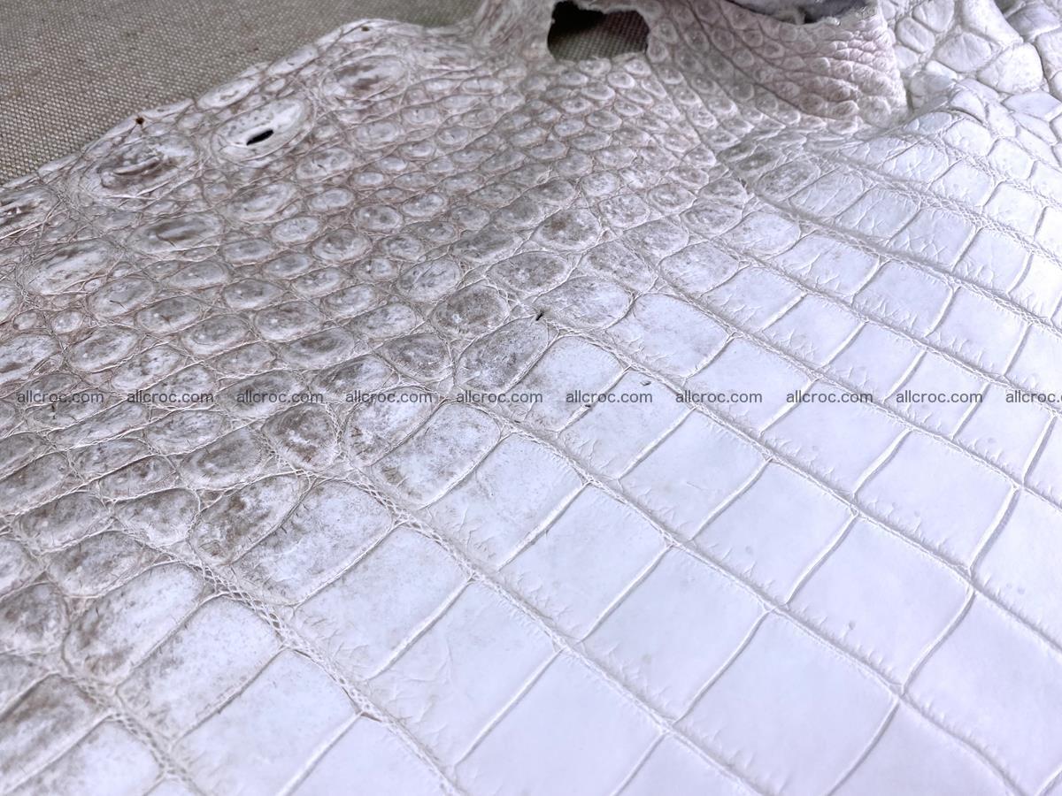 Crocodile skin belly part 49cm himalayan color 1475 Foto 1