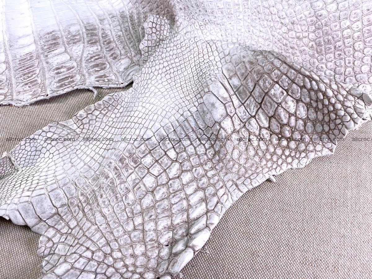 Crocodile skin belly part 49cm himalayan color 1475 Foto 11