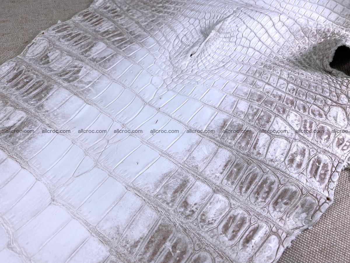 Crocodile skin belly part 49cm himalayan color 1475 Foto 10