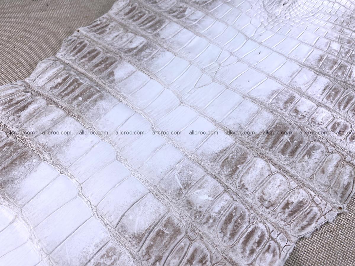 Crocodile skin belly part 49cm himalayan color 1475 Foto 12