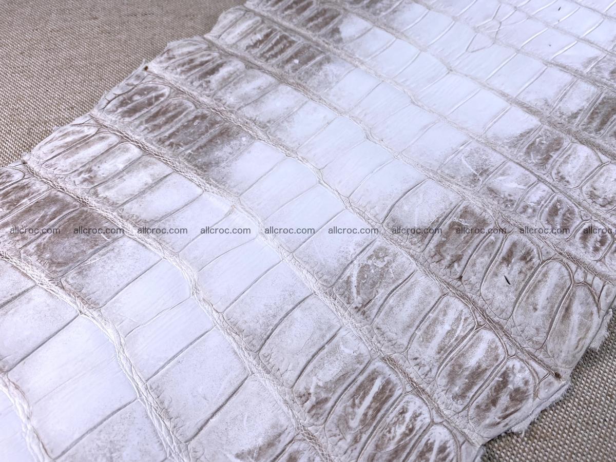Crocodile skin belly part 49cm himalayan color 1475 Foto 16