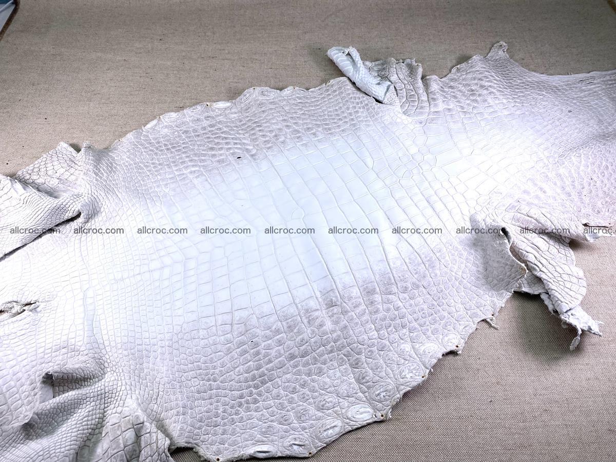 Crocodile skin belly part 46cm (no tail) himalayan color 1476 Foto 1