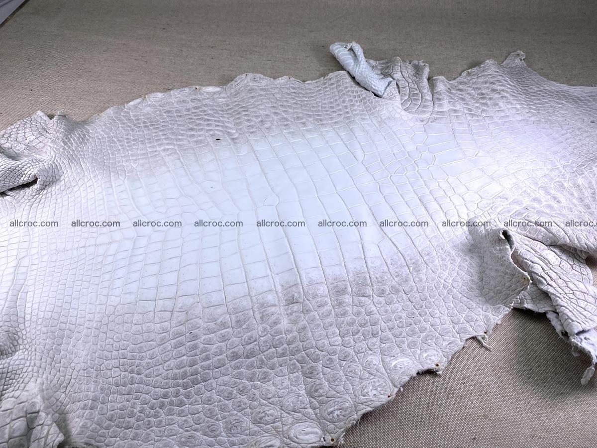 Crocodile skin belly part 46cm (no tail) himalayan color 1476 Foto 3