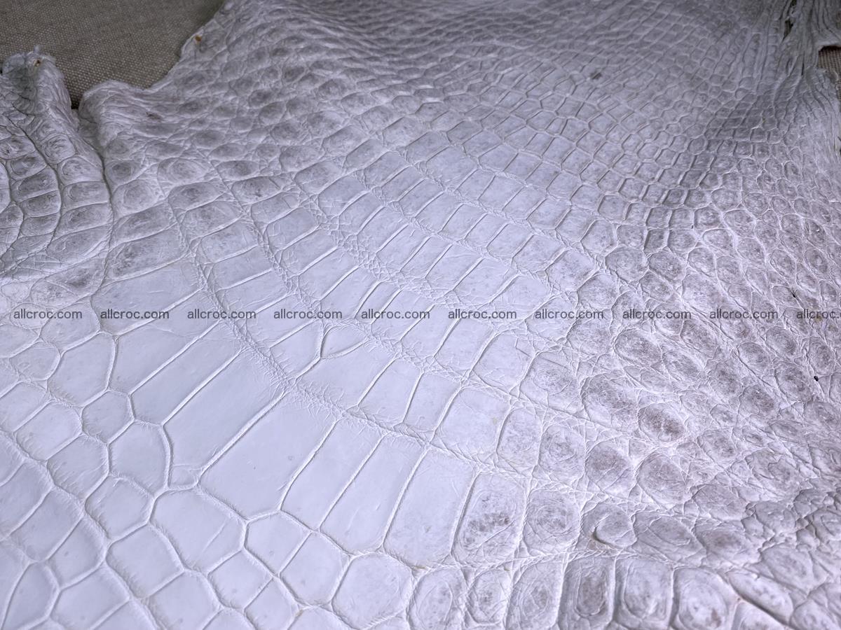 Crocodile skin belly part 46cm (no tail) himalayan color 1476 Foto 2