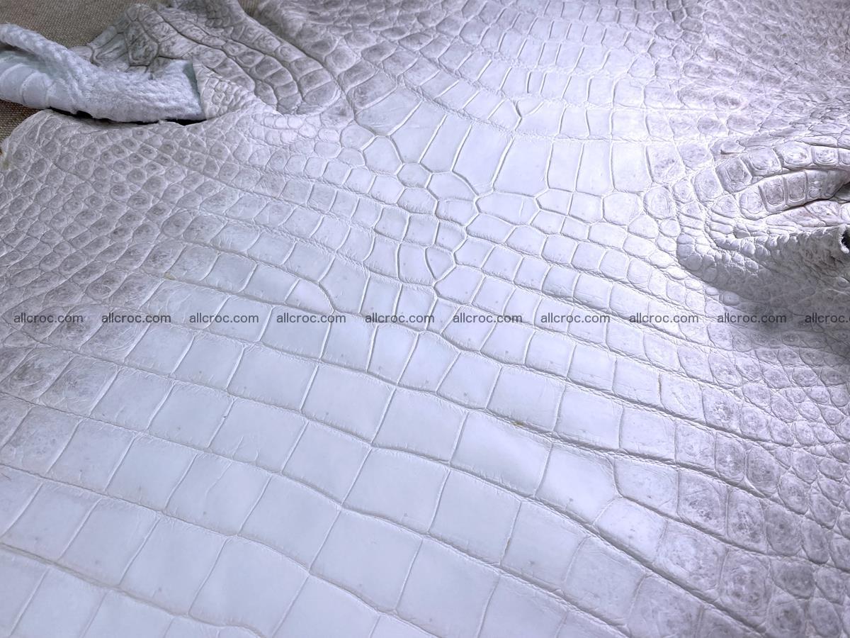 Crocodile skin belly part 46cm (no tail) himalayan color 1476 Foto 4