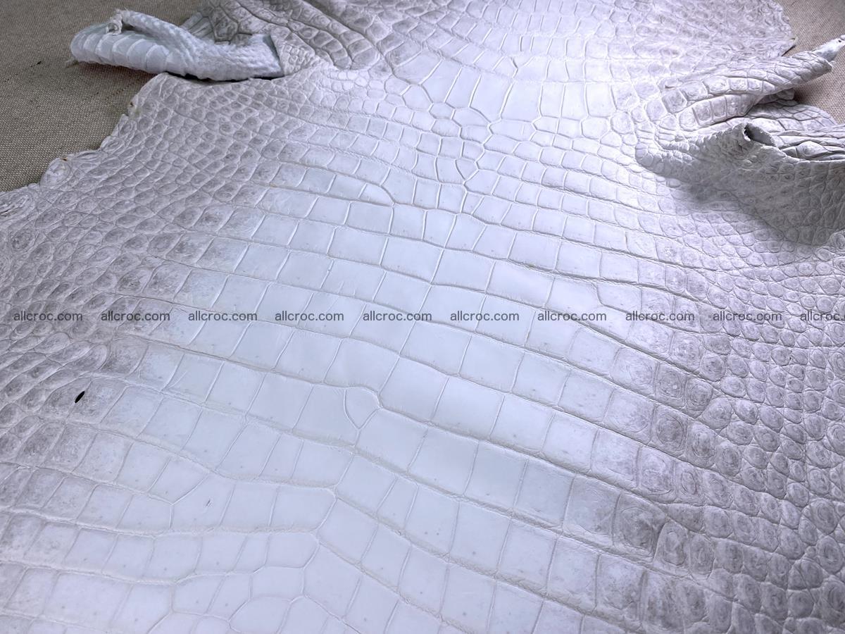 Crocodile skin belly part 46cm (no tail) himalayan color 1476 Foto 10