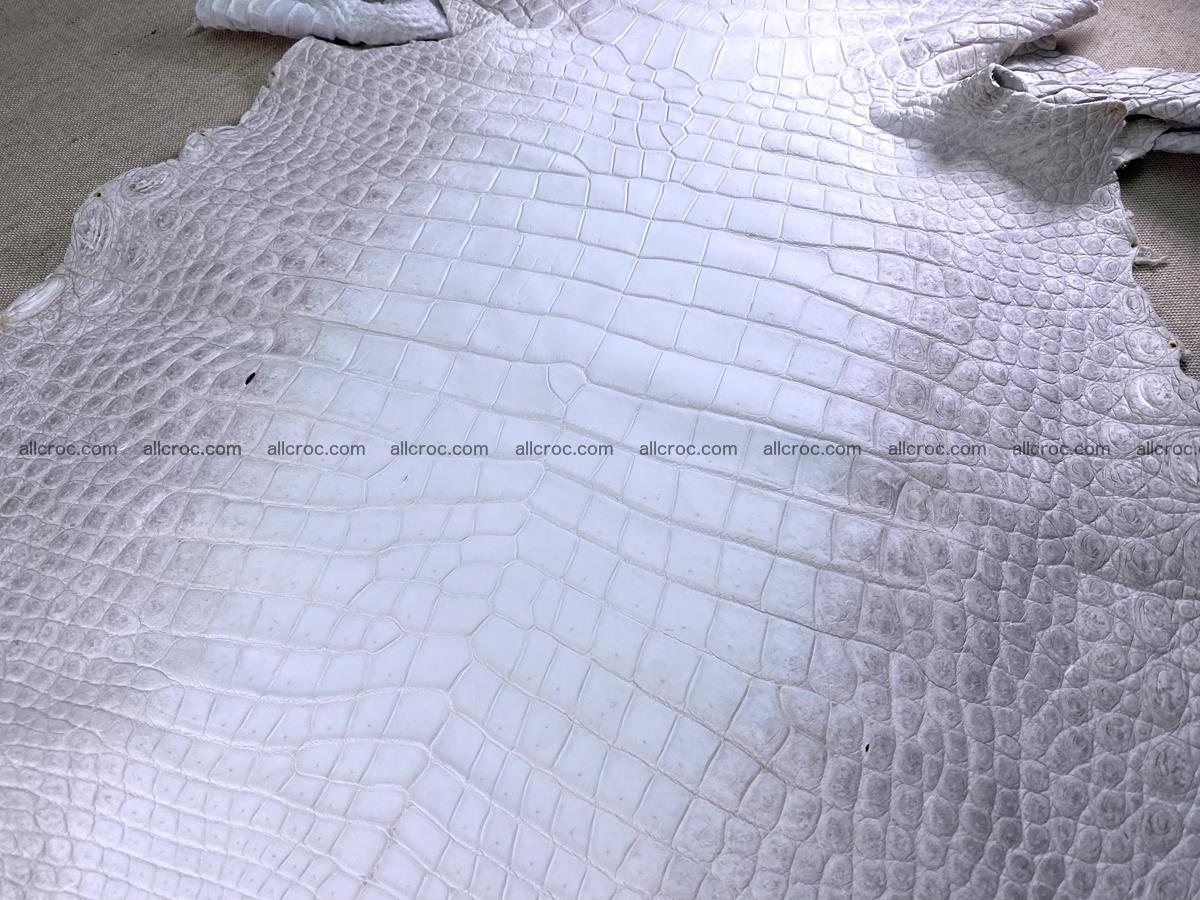 Crocodile skin belly part 46cm (no tail) himalayan color 1476 Foto 0