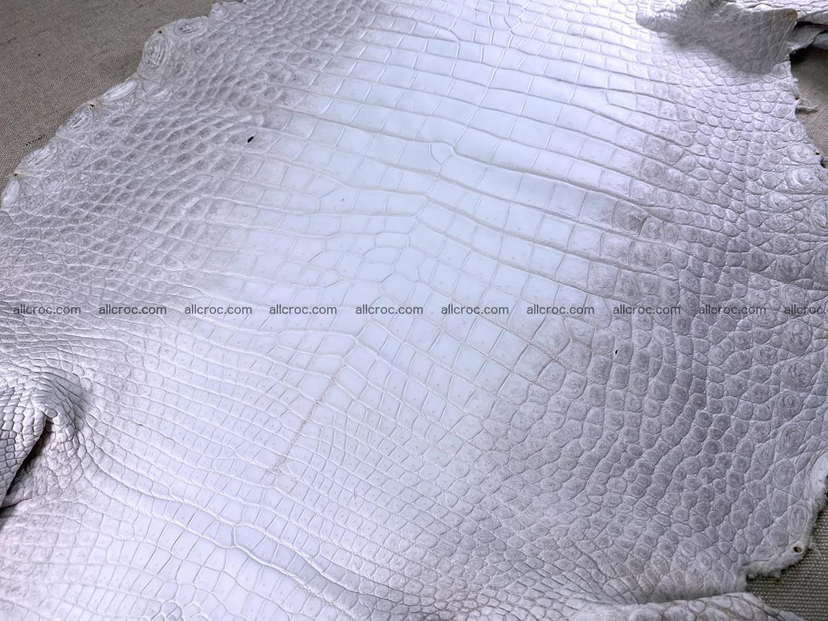 Crocodile skin belly part 46cm (no tail) himalayan color 1476 Foto 8