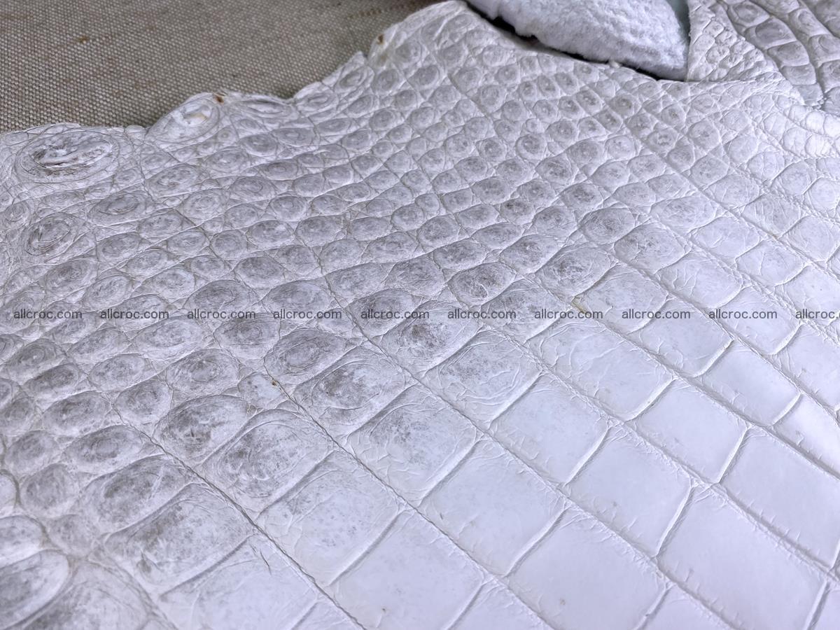 Crocodile skin belly part 46cm (no tail) himalayan color 1476 Foto 5