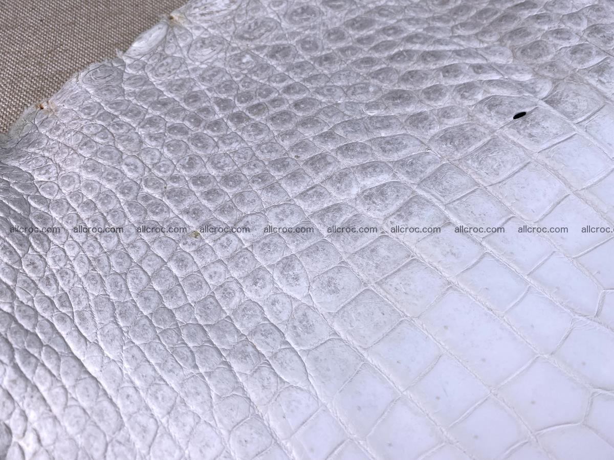 Crocodile skin belly part 46cm (no tail) himalayan color 1476 Foto 6
