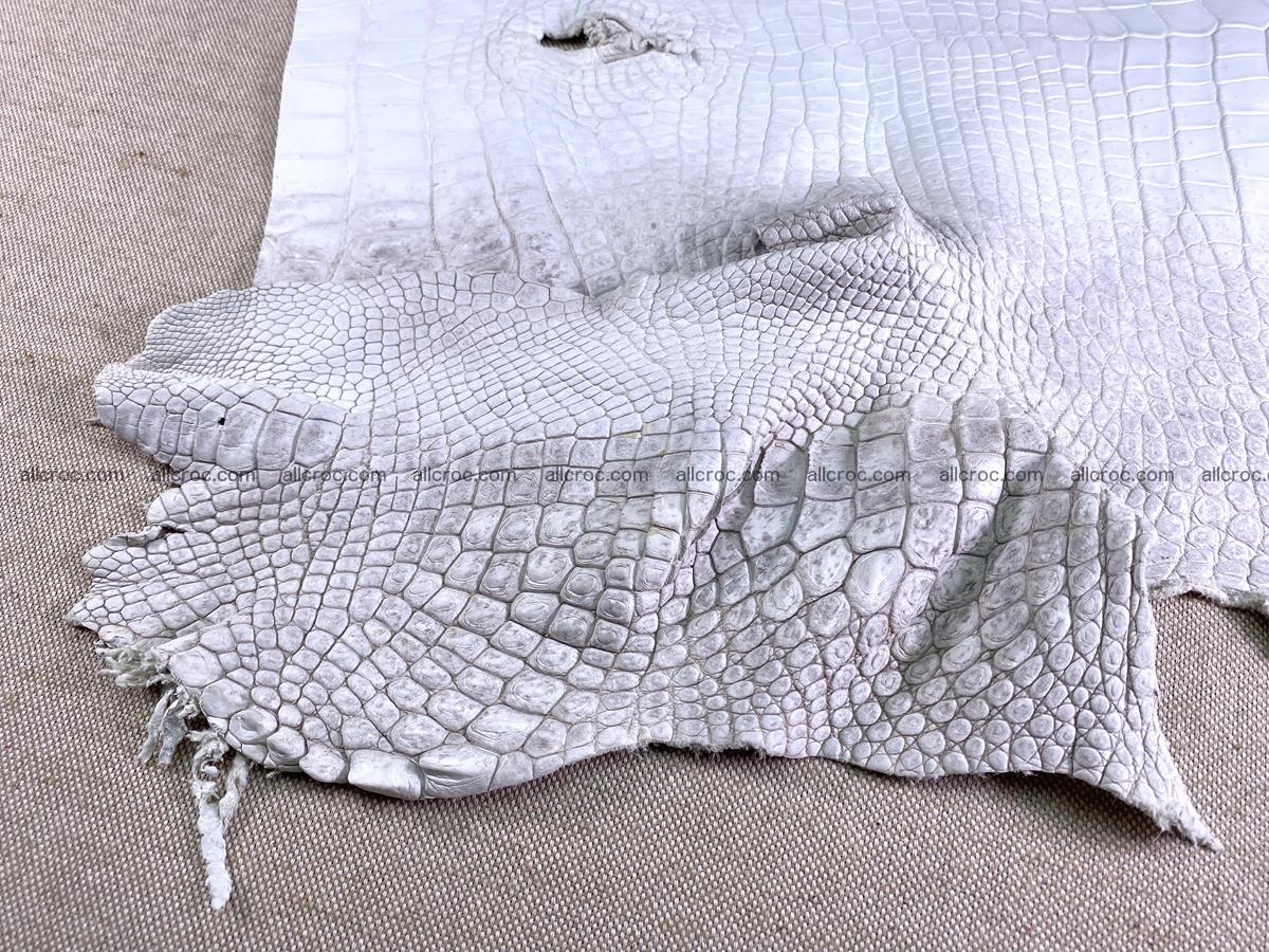 Crocodile skin belly part 46cm (no tail) himalayan color 1476 Foto 12