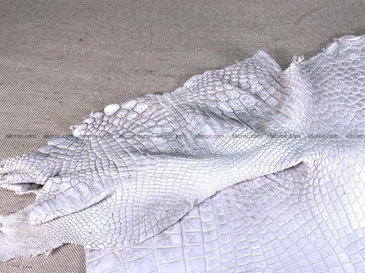 Crocodile skin belly part 46cm (no tail) himalayan color 1476 Foto 13
