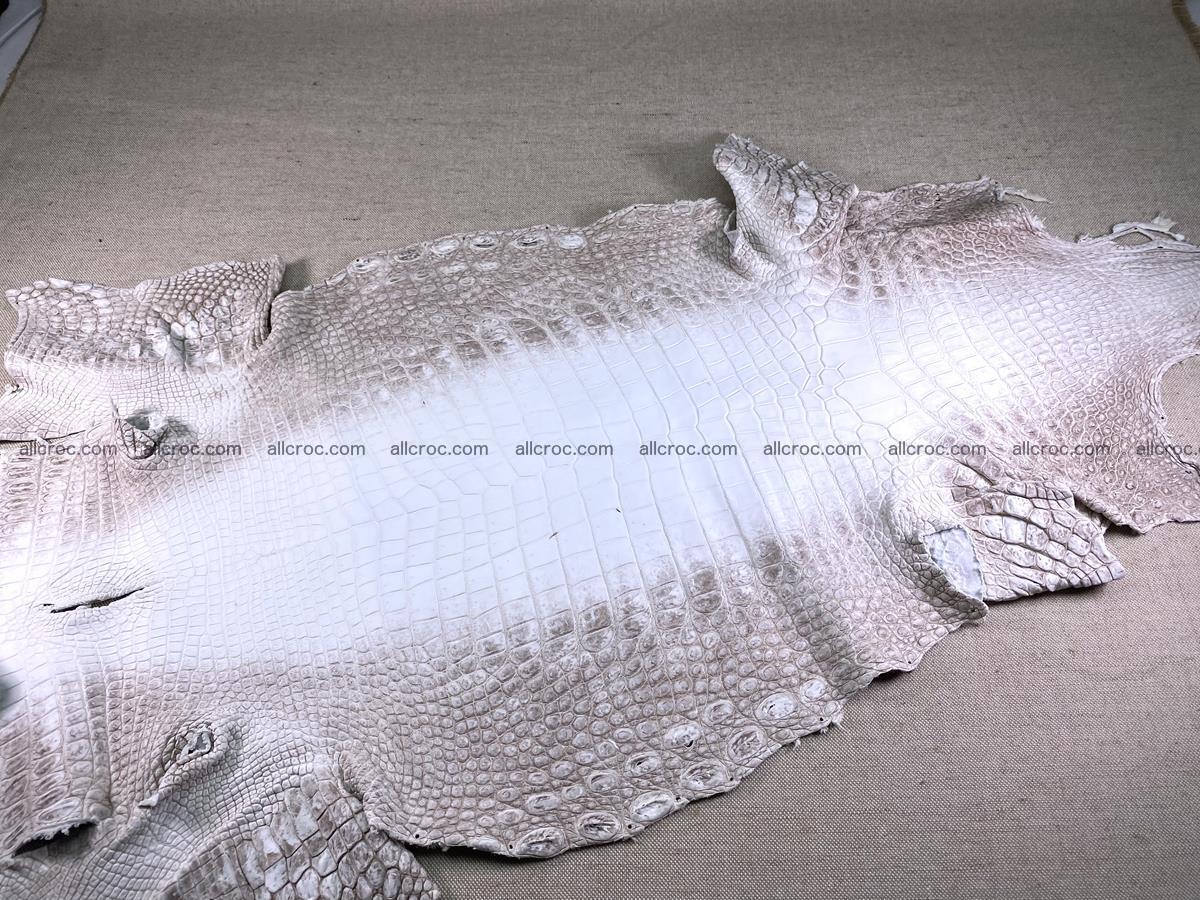 Crocodile skin belly part 43cm himalayan color 1477 Foto 3