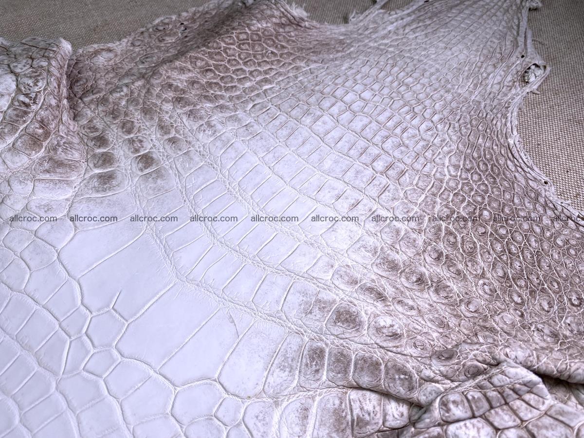 Crocodile skin belly part 43cm himalayan color 1477 Foto 6