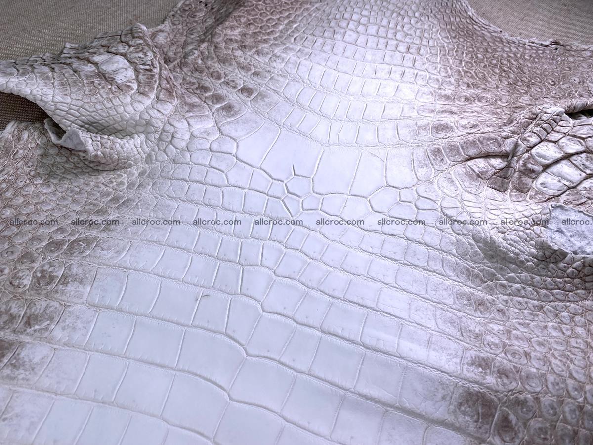 Crocodile skin belly part 43cm himalayan color 1477 Foto 0