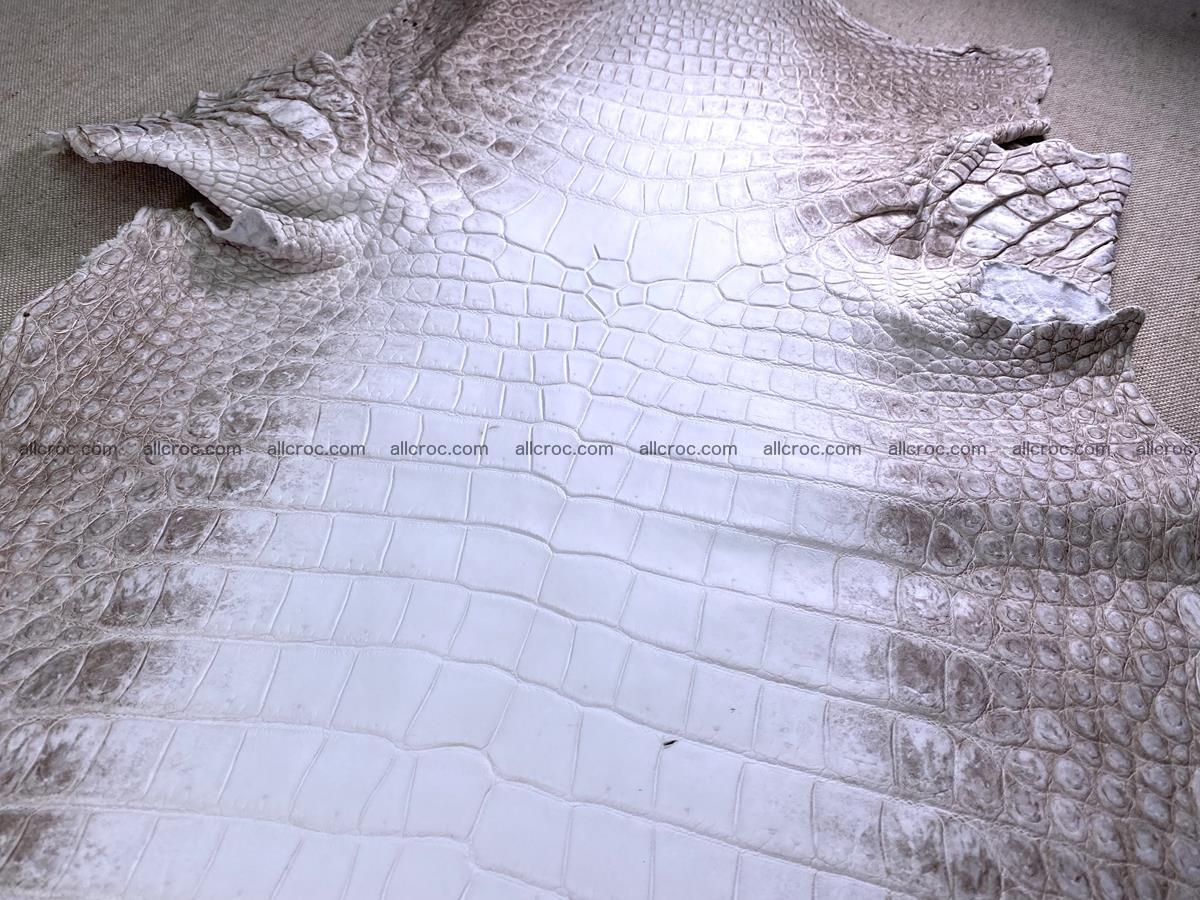 Crocodile skin belly part 43cm himalayan color 1477 Foto 1