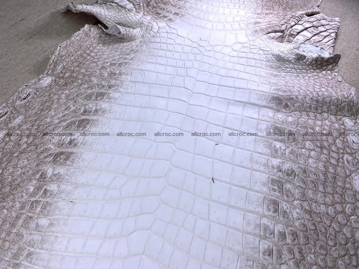 Crocodile skin belly part 43cm himalayan color 1477 Foto 7