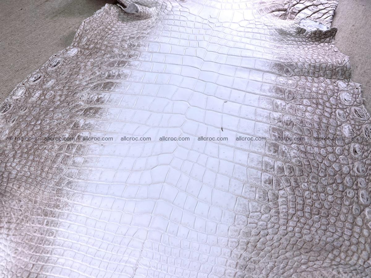 Crocodile skin belly part 43cm himalayan color 1477 Foto 8