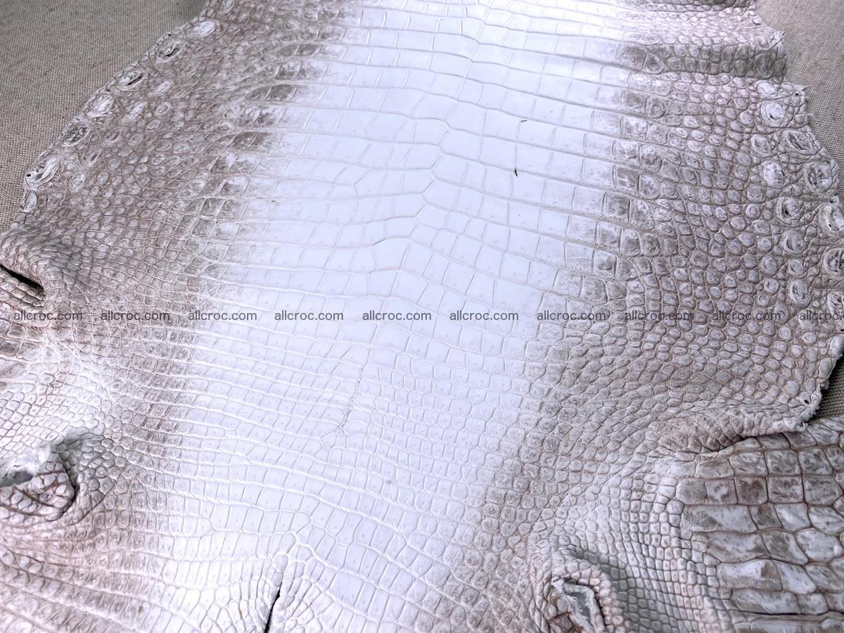 Crocodile skin belly part 43cm himalayan color 1477 Foto 9