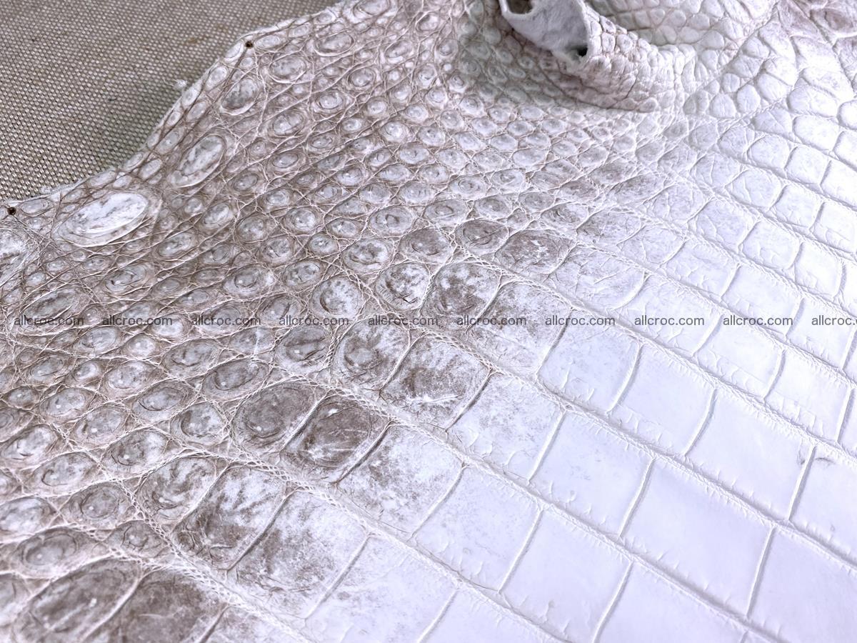 Crocodile skin belly part 43cm himalayan color 1477 Foto 10