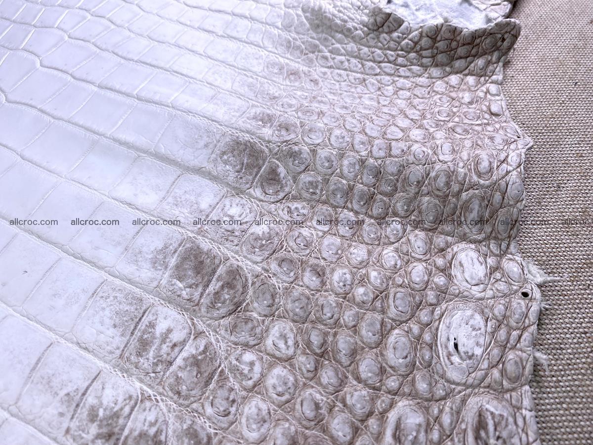 Crocodile skin belly part 43cm himalayan color 1477 Foto 12