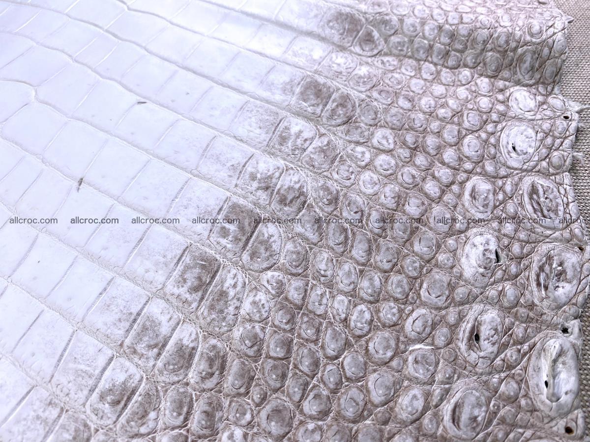 Crocodile skin belly part 43cm himalayan color 1477 Foto 13