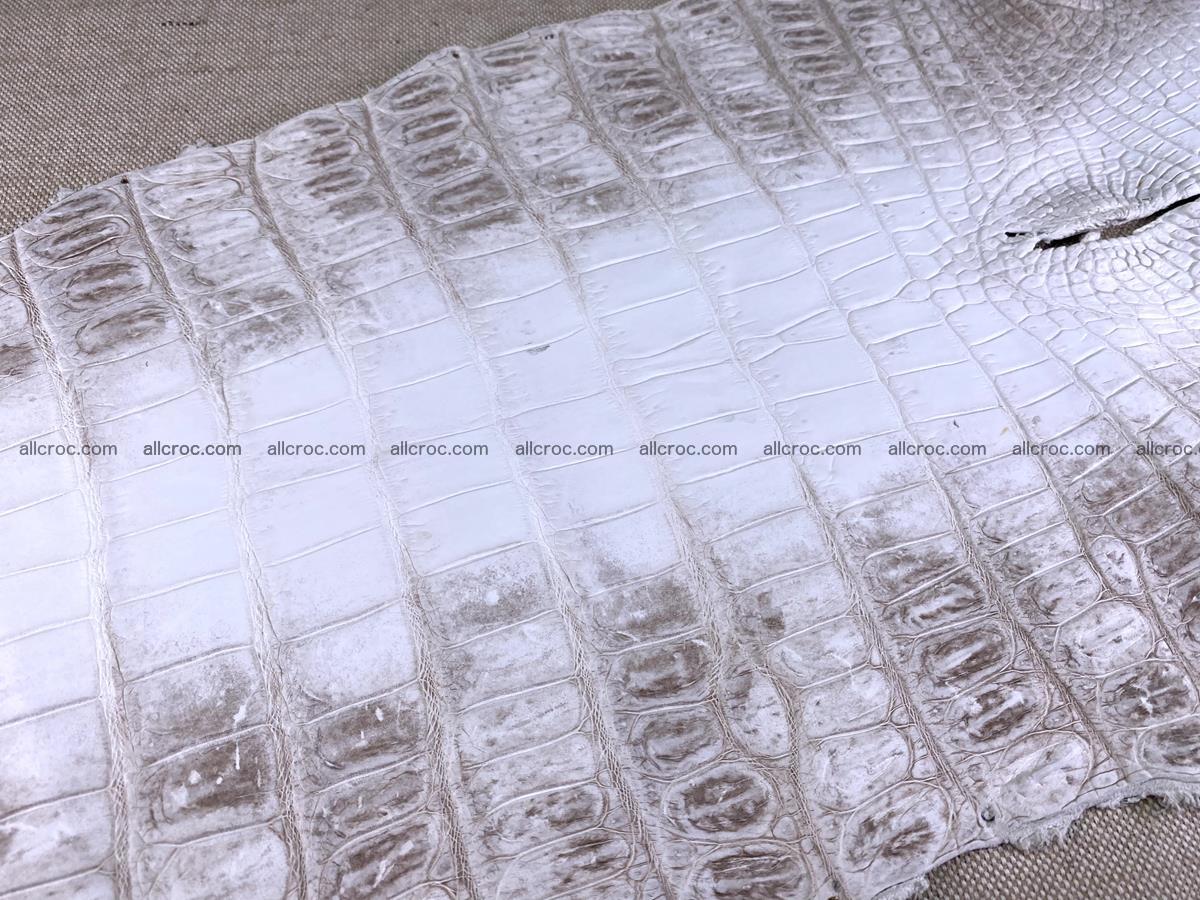 Crocodile skin belly part 43cm himalayan color 1477 Foto 18