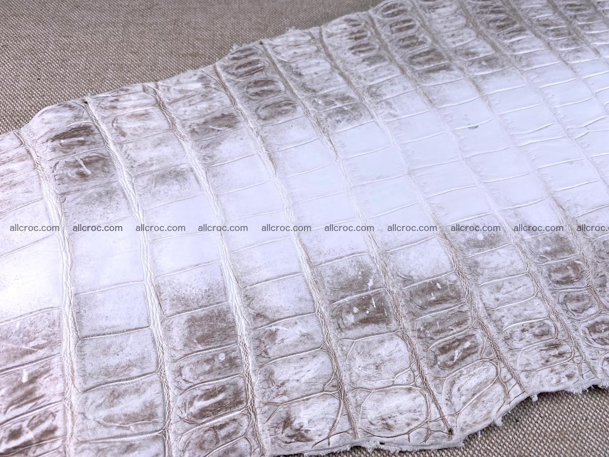 Crocodile skin belly part 43cm himalayan color 1477 Foto 19
