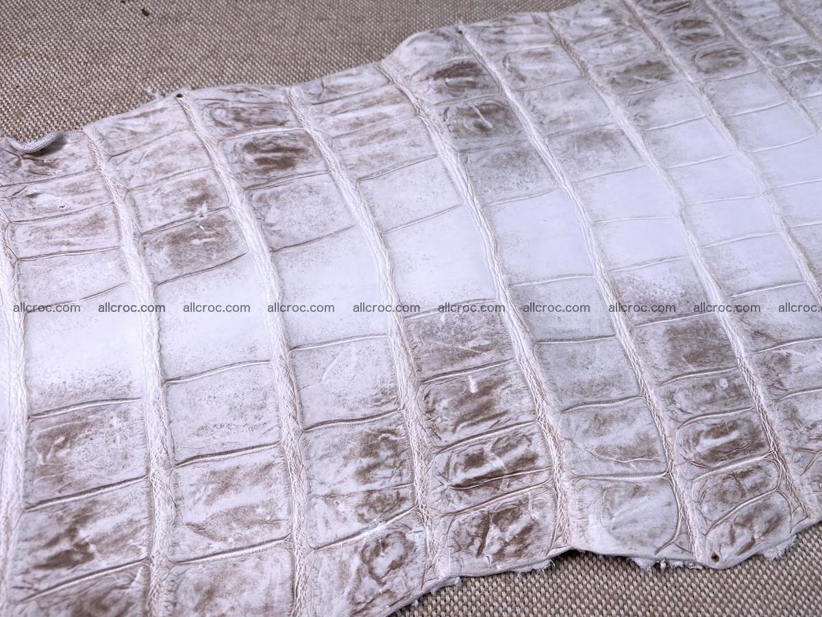 Crocodile skin belly part 43cm himalayan color 1477 Foto 17