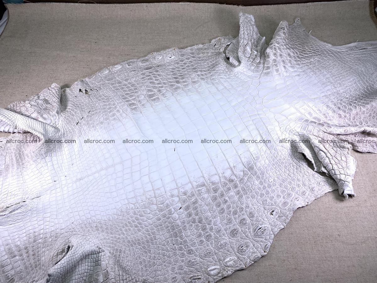 Crocodile skin belly part 57cm himalayan color 1478 Foto 1