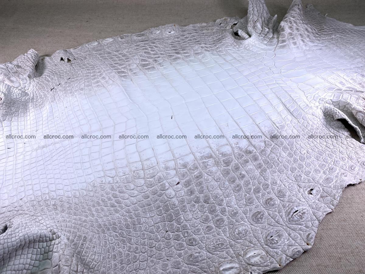Crocodile skin belly part 57cm himalayan color 1478 Foto 2