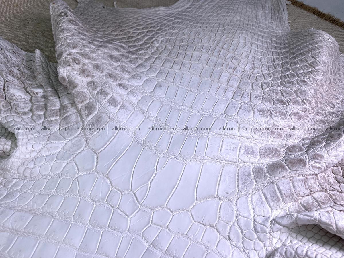 Crocodile skin belly part 57cm himalayan color 1478 Foto 3
