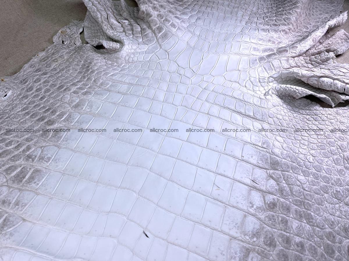 Crocodile skin belly part 57cm himalayan color 1478 Foto 7