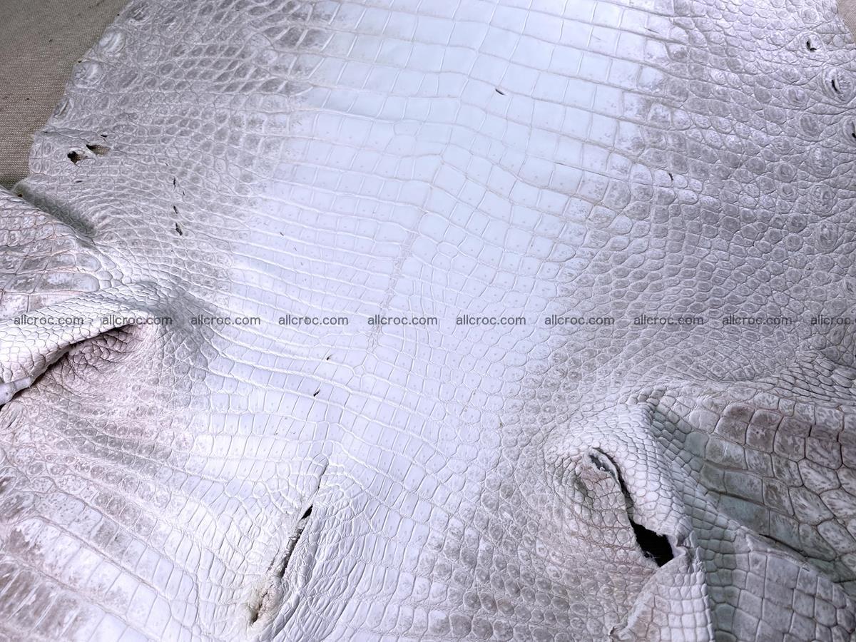 Crocodile skin belly part 57cm himalayan color 1478 Foto 11