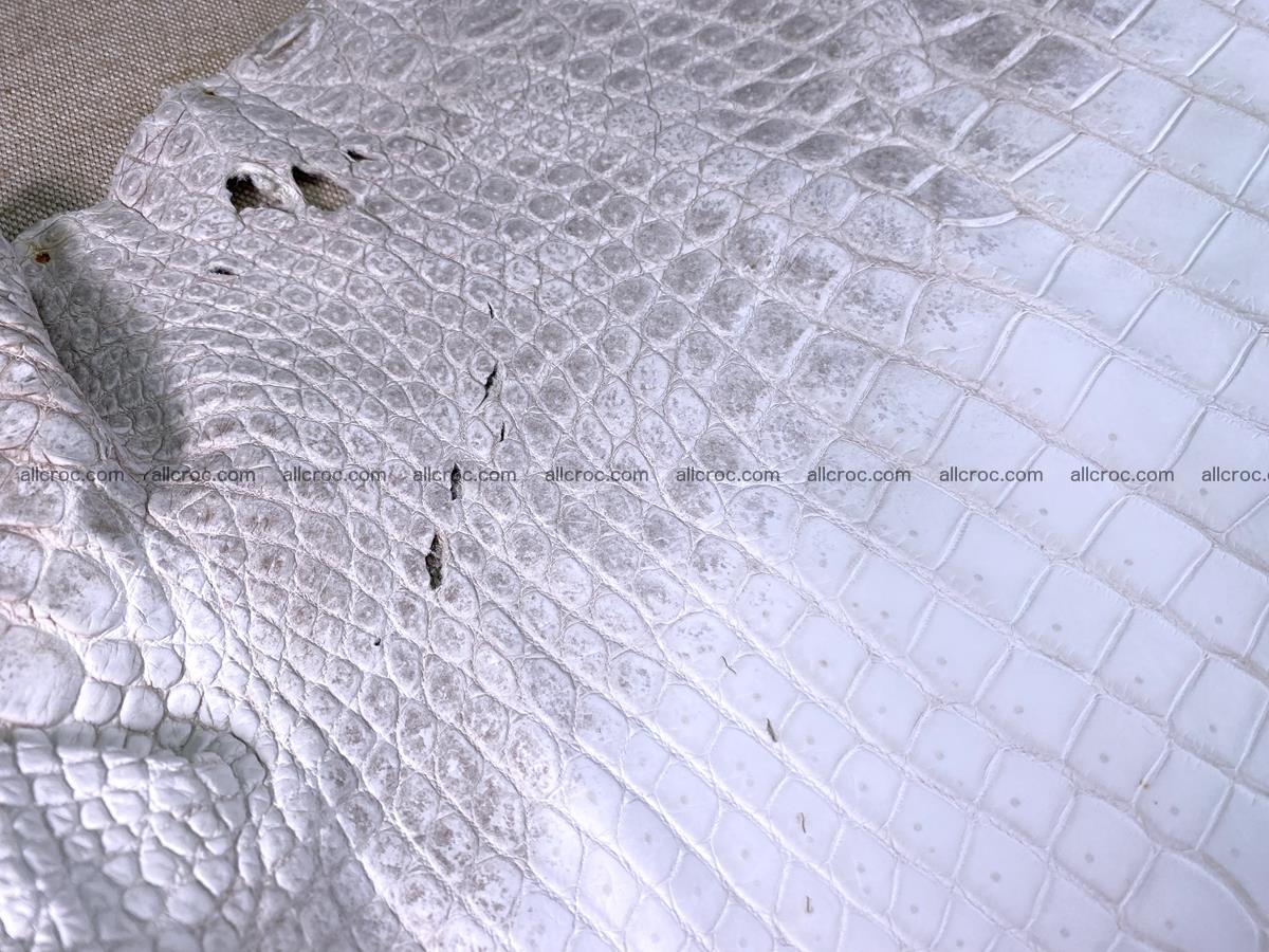Crocodile skin belly part 57cm himalayan color 1478 Foto 6
