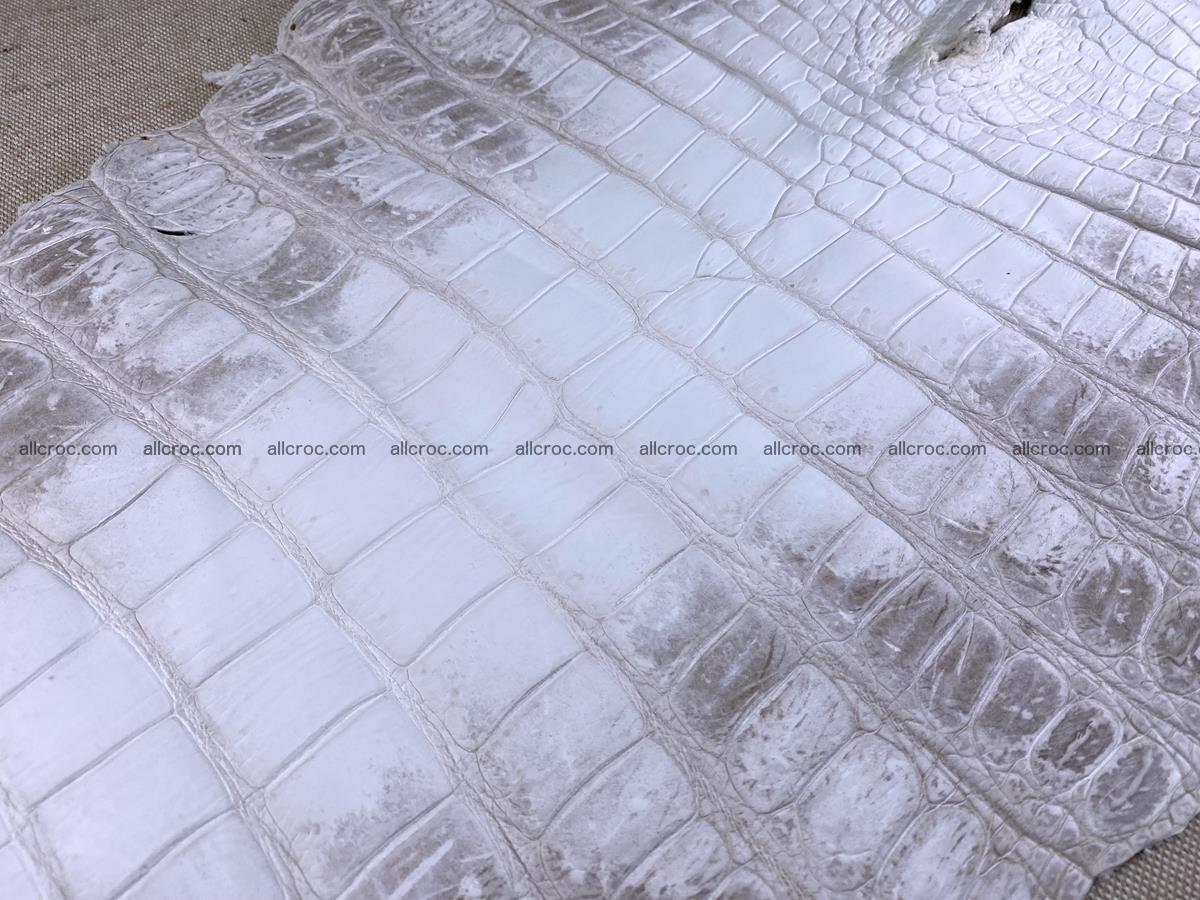 Crocodile skin belly part 57cm himalayan color 1478 Foto 12