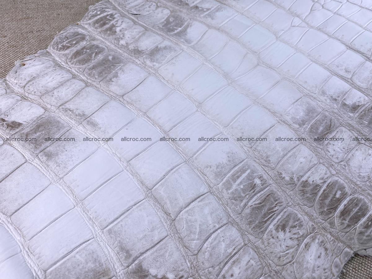 Crocodile skin belly part 57cm himalayan color 1478 Foto 17